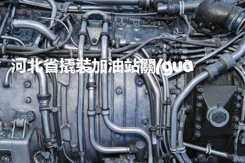 河北省撬裝加油站關(guān)鍵技術(shù)突破！化工廠拆除工程的新方法探索？